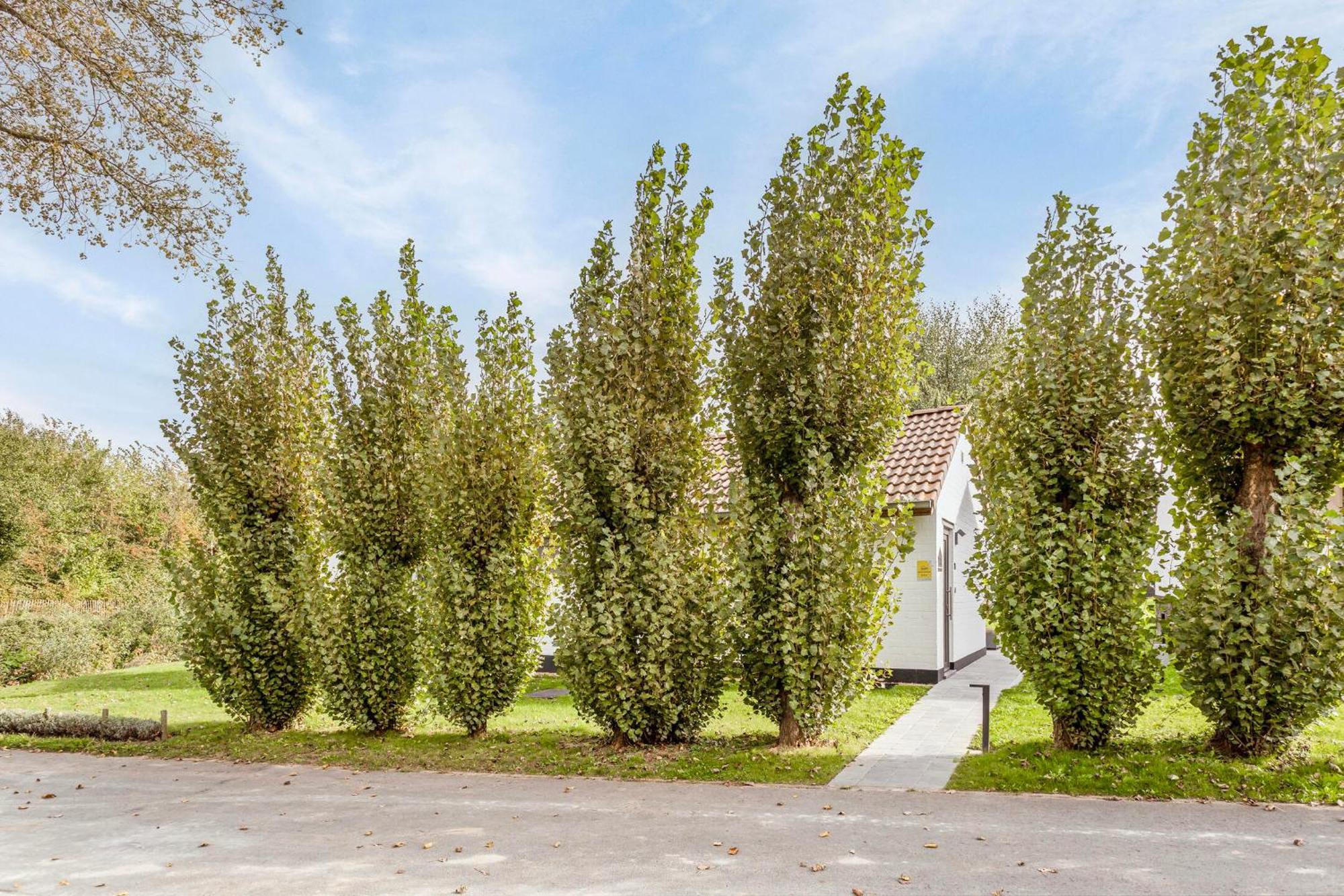 Casa Marit Villa Westouter Dış mekan fotoğraf